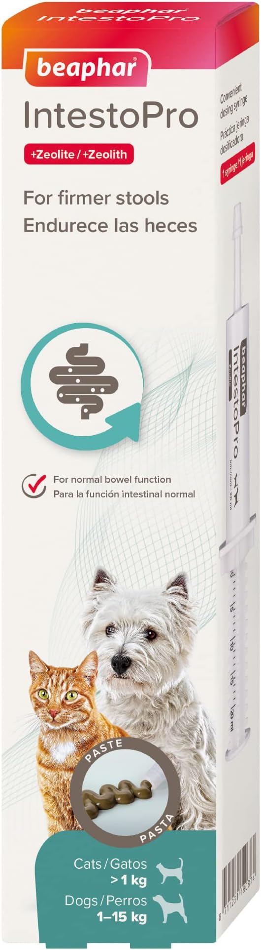 Beaphar – IntestoPro Prebiotic Stool Firming Paste for Cats and Small Dogs (<15kg) – Natural Active Ingredients – Aids digestive upsets and diarrhoea - Supports Healthy Gut Function – 1 syringe
