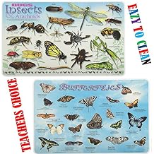 Painless Learning Educational Placemats for Kids Butterflies and Bugs [Set of 2]
