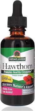 Natures Answer Organic Hawthorn Extract 2 Oz - Low Alcohol, Gluten Free & Kosher - Heart Support - Ideal for Hawthorn Berry Tea