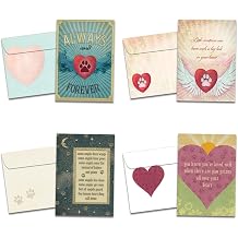 Tree-Free Greetings 16 Pack Forever Friends Pet Sympathy Card Assortment & Matching Envelopes, Made in USA, 100% Recycled Paper, 5”x7”, Loss of Pet Condolence (GP54063)