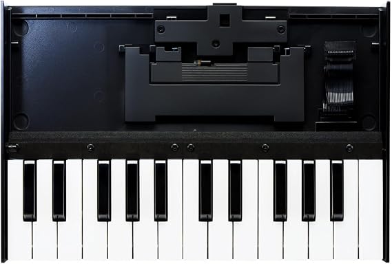 Roland K-25M Boutique Module Dock USB MIDI Keyboard, 12 inch (K-25M)