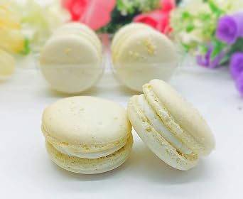 Special Holiday Macaron Gift Box Coconut