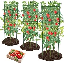 3 Pack Tomato Cage,Tomato Cage for Raised Garden Bed, 48'' Tall Tomato Trellis Triangle or Square Cages for Garden,Pots, Plant Cages & Supports(Green, Extra Bold )