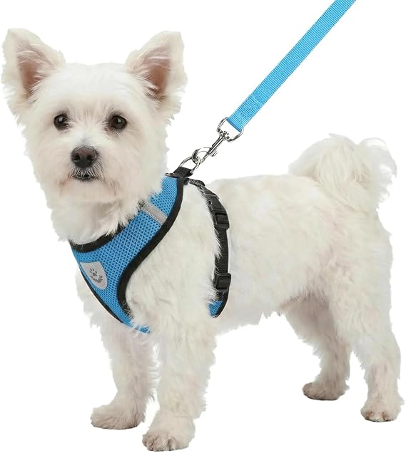 Hypeety Dog Vest Harness No-Pull Reflective Step-in Air Mesh Vest, Blue, L | 18.1-23.6'' in chest, breathable mesh with metal D-ring, reflective pattern for low-light safety, all weather, lightweight