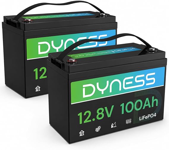 Dyness 12V 100Ah LiFePO4 Battery, 12.8V Lithium Battery BCI Group 31 with A+ Grade Cell, Low-Temp Protection, Smart 100A BMS, 12 Volt Lithium Battery Perfect for RV, Solar System, Off-Grid (2 Pack)