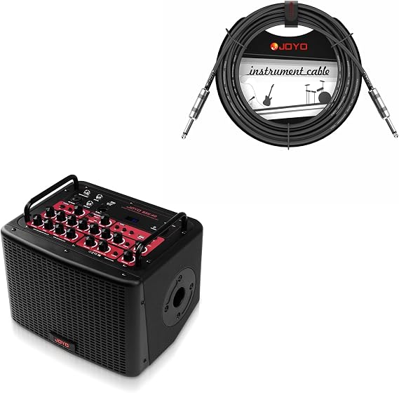 JOYO 40 Watt Acoustic Combo Amplifier (BSK-40) Bundles with JOYO Audio Instrument Cable 15ft (CM-04)