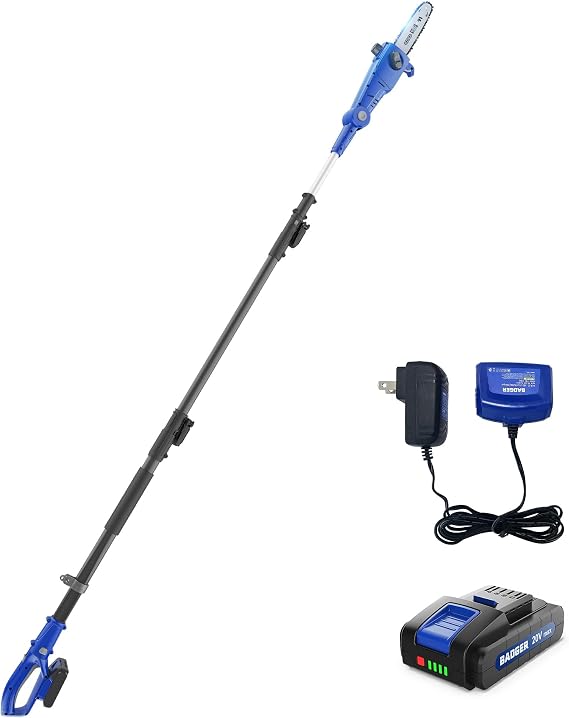 WILD BADGER POWER Cordless Pole Saw 20V 8'' Electric 2.0Ah with Telescoping Pole, 0 to 30 Adjustable Head, Battery and Charger included