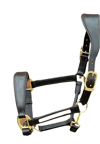 Anatomical Leather Headcollar, Supersoft Padded, Gold Fittings, Fully Adjustable (Brown, Shetland)