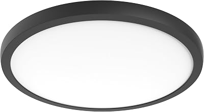 Nuvo 621788 Blink Pro Plus Surface Mounted LED Downlight, Round, 19 Inches, Black