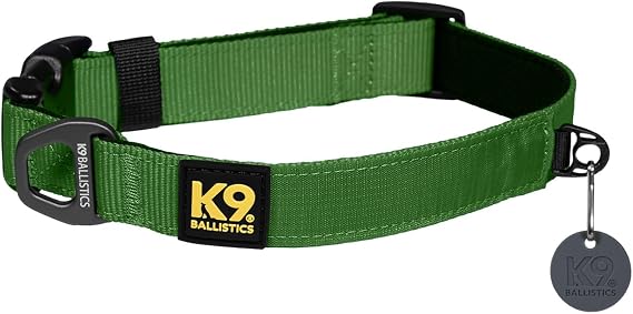 K9 Everyday Dog Collar - Adjustable, Breathable Padding, Durable Nylon Webbing, Fits Small Dogs - Forest Green