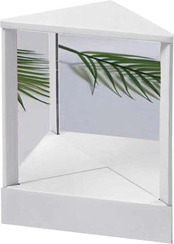 True Mirror Non Reversing Real Mirror Non Reversing Non Reversing Mirror Triangular Fixed Non-reversing Mirror Non Reversing Mirror for True Image (A)