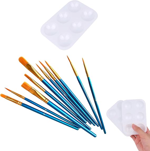 LNAUJS Paint Brush and Paint Tray Palette Set, 10 PCS Nylon Hair Brushes and 1 Pack 6 Well Plastic Paint Palette