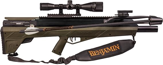 BenjaminBenjamin
