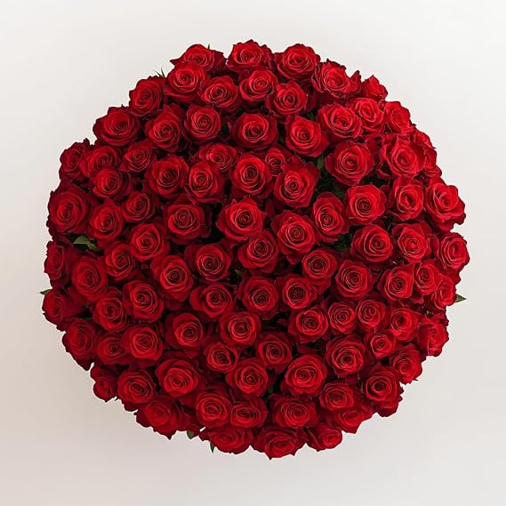 GlobalRose Fresh Cut Red Roses - 150 (6 Bundles of 25) Fresh Flowers Bouquet for Wedding