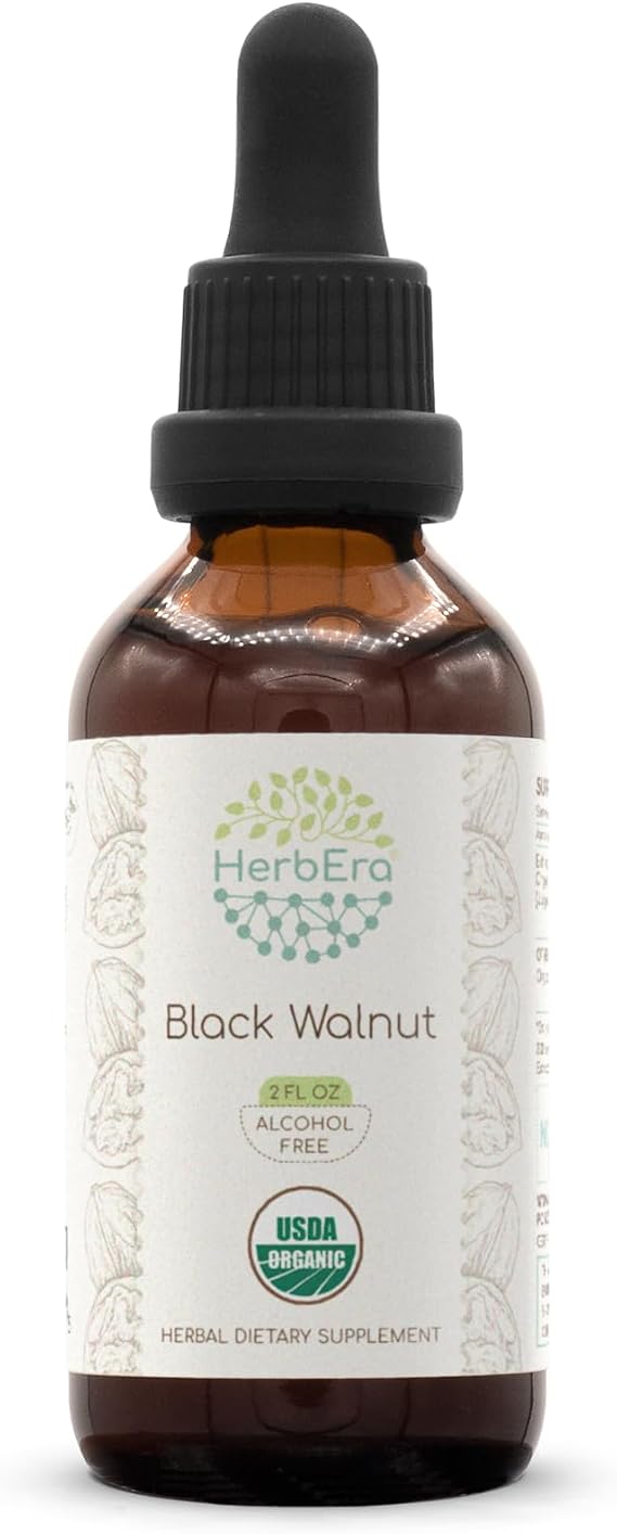 HerbEra Black Walnut USDA Organic Tincture | Alcohol-Free Extract, Herbal Drops | Certified Organic Black Walnut (Juglans Nigra) Dried Hull (2 fl oz)