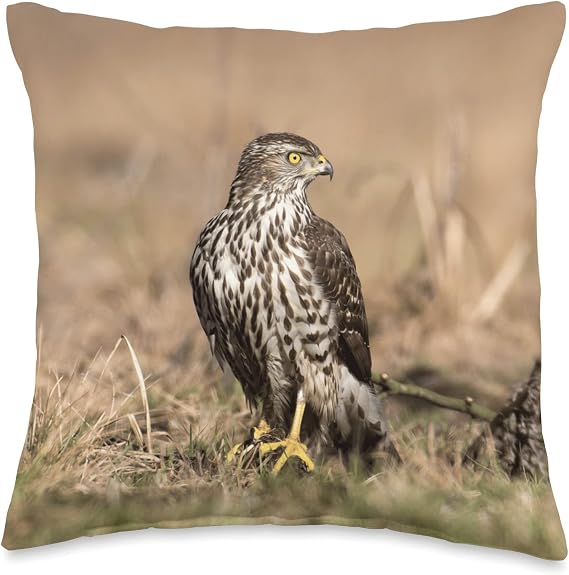 Goshawk Throw Pillow