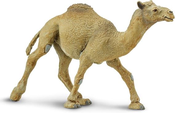 Safari Ltd. Dromedary Camel Figurine - Lifelike, Hand-Painted 5.75" Model Figure - Educational Toy for Boys, Girls & Kids Ages 3+