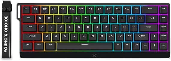 FKZ x MCHOSE ACE 68 Magnetic Switch Gaming Keyboard,Hall Effect Rapid Trigger Keyboard 60% Hyper-Fast Adjustable Actuation,RGB Backlit 8K Hz Polling Rate for Mac/PC Game (Black)
