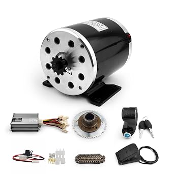 Motorbike Engine Burshed DC Motor DIY Go-cart Chain Drive More Than (36V Pedal)