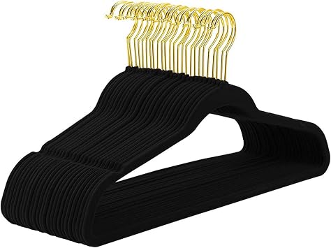 Hangers 25 Pack, Non Slip Plastic Hangers for Adult, Portable Hanger Organizer Rack for Closet, Laundry Hangers for Adult Coat, Suit, Shirt, Dress (Black)