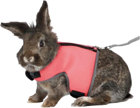 Hamster Harness Leash Set Adjustable Mesh Vest for Guinea Pig Bunny Rabbit Chinchilla Ferret Cat Rat Kitten Small Dog Kitten Puppy (Orange Red,S)