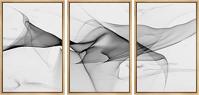SIGNLEADER Framed Canvas Print Wall Art Wavy Black Smoke Ribbons Geometric Shapes Digital Art Modern Art Minimalist RelaxCalm Multicolor Dark for Living Room, Bedroom, Office - 16x24x3 Natural
