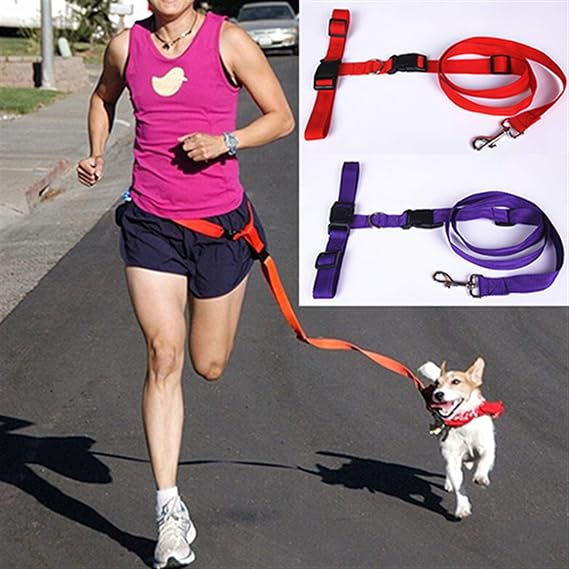 Bundera Köpek Tasması Eller Serbest Kedi Köpek Gezdirme Bel Tasması Kayışı İpi Ayarlanabilir Tasma (Mor)