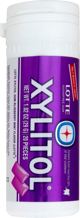 Lotte Xylitol Blueberry Mint Gum 1.02 OZ (Pack of 1)