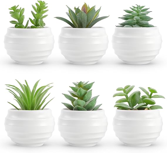 Der Rose 6 Pack Succulents Fake Plants for Bedroom Bathroom Home Decor