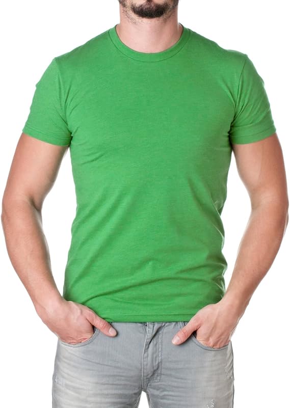 Next Level Apparel Mens N6210