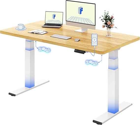 FLEXISPOT Electric Standing Desk BIG MAX 200KG Height Adjustable
