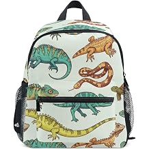 Colorful Reptiles Lizards Toddler Boy Backpack with Name Tag, Preschool Backpack for Girls, Colorful Reptiles Lizards, 6-8 Years, Cute Backpacks