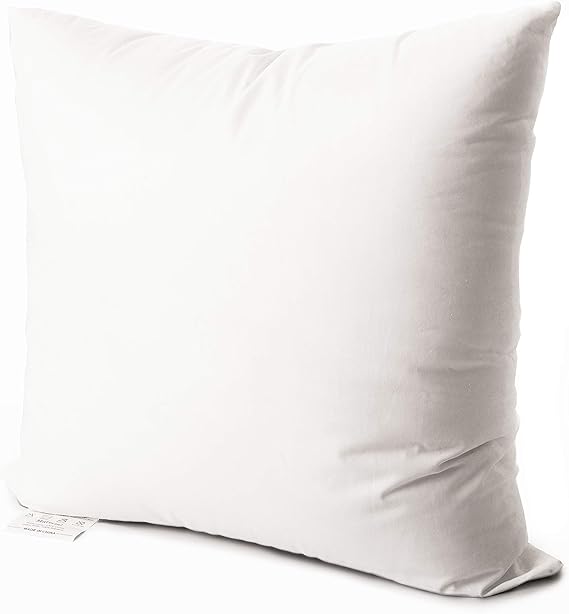 EDOW Luxury Throw Pillow Insert, Soft Fluffy Down Alternative Polyester Square Form Decorative Pillow Insert,Sham Stuffer,Cotton Cover for Sofa, Couch,Bed and Car. (White, 18x18)