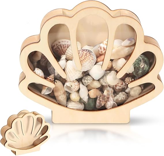 Seashell Display Case Wooden Seashell Display Box with Acrylic Panel Ocean Gifts Beach Gifts Sea Shell Storage Box Coastal Decor Seashell Display Box Shell Beads Shell Bracelet Storage Box