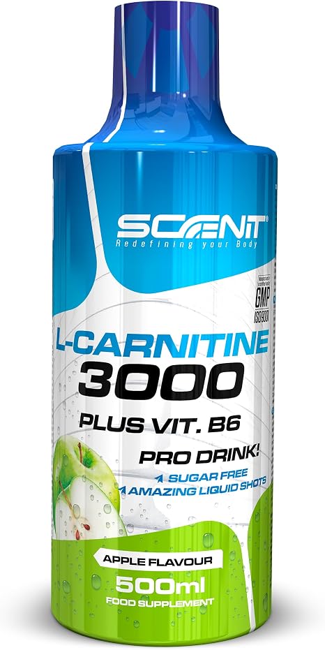 L Carnitine Liquid - L Carnitine 3000 - L-Carnitine Liquid - L-Carnitine High Dose - L Carnitine 3000 mg (500 ml) (Apple)