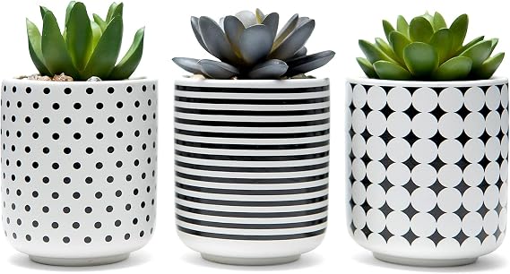 dipiti Artificial Succulent Plants in Pots-Set of 3|Black and White Ceramic Planters|Faux Plants Indoor & Outdoor|Gifts for Women|Kitchen Office Bathroom Desk Bedroom Shelf Decor|Potted Fake Plants