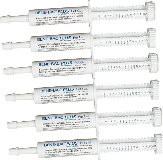 6 Pack Bene-Bac Plus Gel, 15g Syringe 6 -Pack