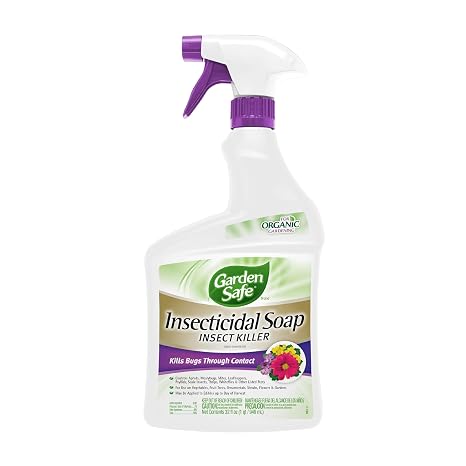 Garden Safe Insecticidal Soap Insect Killer Spray, 32 Oz | For Organic Gardening, Ready-To-Use Spray Controls Aphids, Mealybugs, Mites & Other Listed Insects, Use Indoors & Outdoors