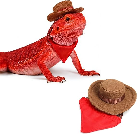 Molain Bearded Dragon Clothes, Lizard Cowboy Hat Bandana Costume Set Bearded Dragon Clothing Outfit for Cosplay Photo Costume Props Fits Gecko Chameleon Ferret