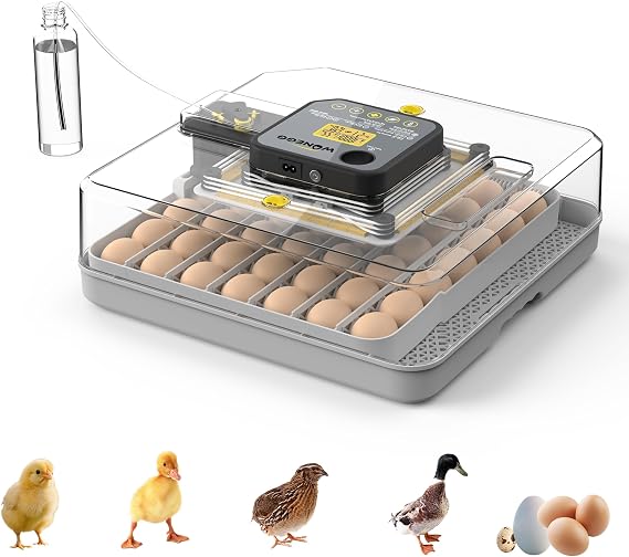 Egg Incubator for Hatching 48 Chicken, Duck, Quail & Goose Eggs Automatic Egg Turner, Humidity & Temperature Control, Built-in LED Candler, Auto Water Refill, 360 Clear View Digital Poultry Hatcher