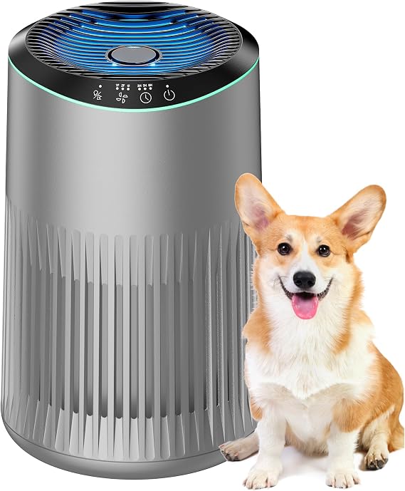 Air Purifier