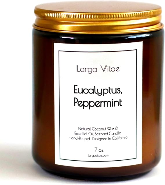 Organic Coconut Wax Aromatherapy Candle | Eucalyptus & Peppermint | Non-Toxic, Pet Safe, Allergy Friendly | Phthalate Free | Zero Waste Sustainable Gift