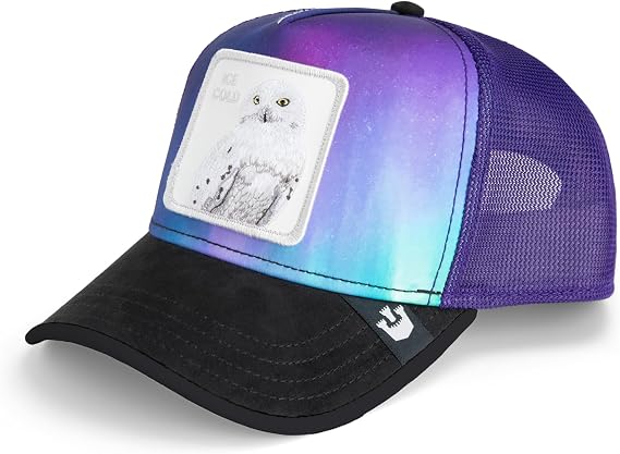Goorin Bros. Arctic Sky Collection Trucker Hat