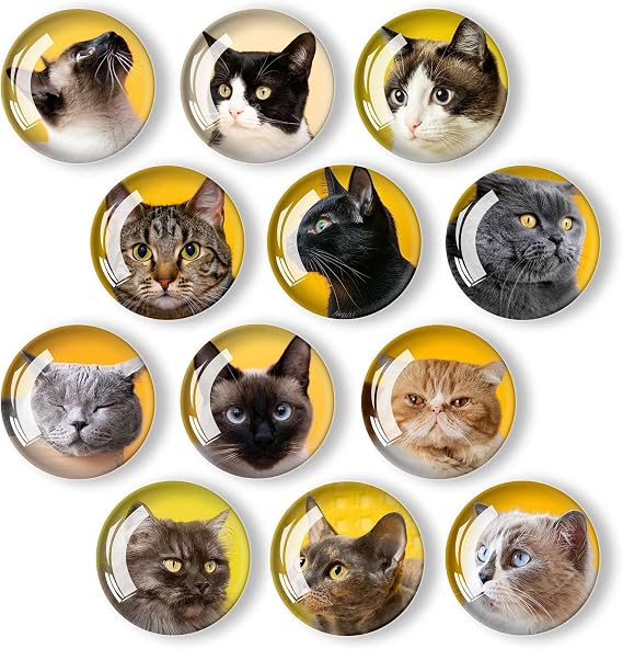 12Pcs Glass Refrigerator Magnets - Fridge Magnets Decoration for Classroom, Locker, Office Whiteboards, Cabinet, Dishwasher and Magnetic Surfaces (Sweet Yellow Cat)