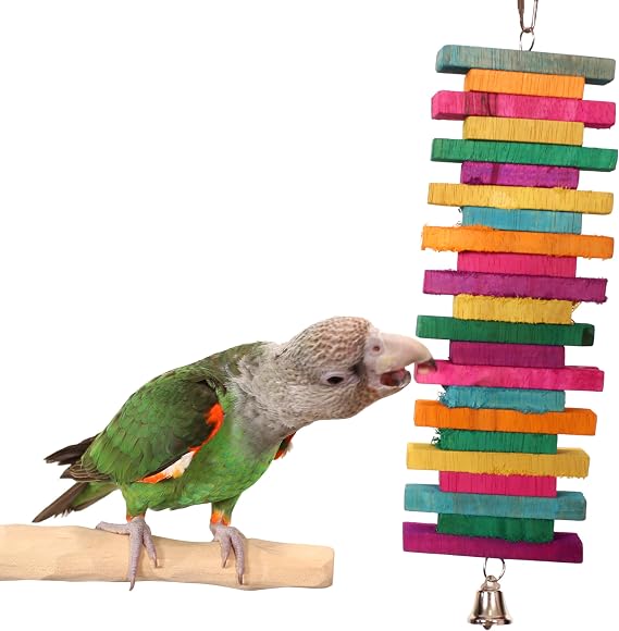 Rainbow Spiral - Medium Parrot Toy Featuring Colorful Wood Pieces