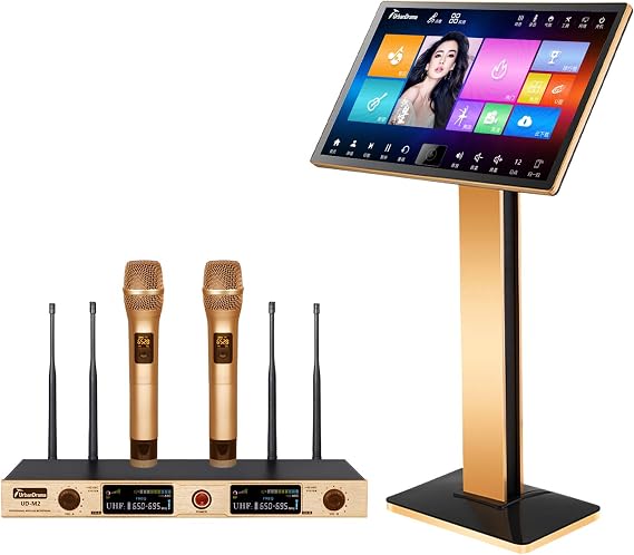 Karaoke Machine, All in One Karaoke Player, 22" Touch Screen YouTube Movie Song, Cloud Song Update, Wireless Mic KTV System