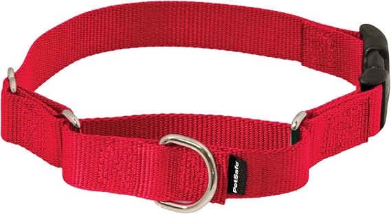 PetSafe Martingale Quick-Snap Dog Collar, Red, 3/8 in, Petite