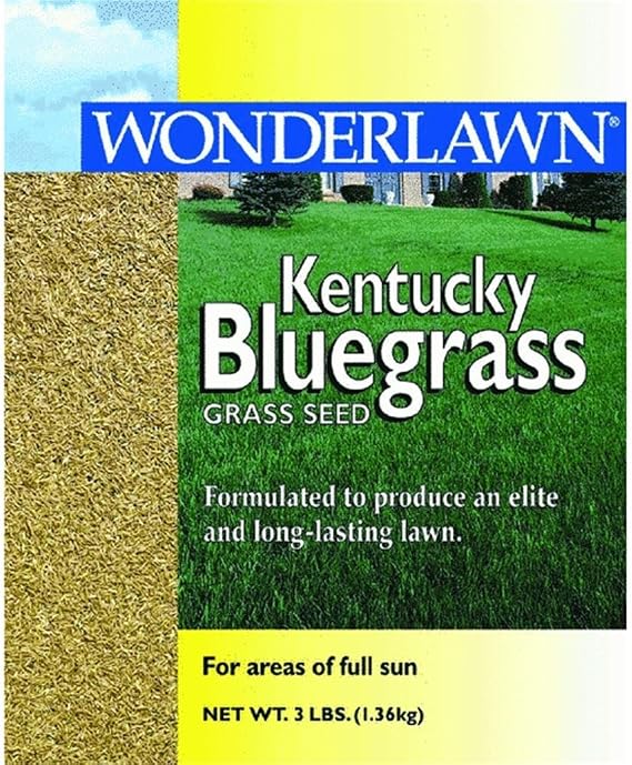 Kentucky Bluegrass Grass Seed