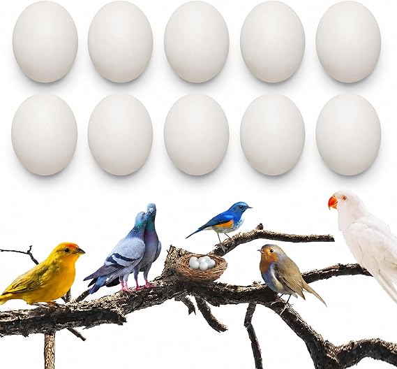10 Pcs Parrot Dummy Eggs, Solid Plastic Nesting Eggs for Green Cheek Conure, Lorikeet, Quaker, Cockatiel and Ringneck Dove