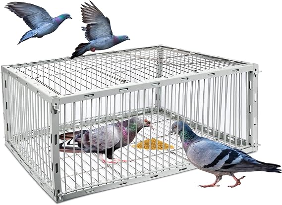Pigeon Trap Cage with Escape-Proof Design Auto Bird Trap Cage for Pigeons and Small Birds | Multi-Catch Pigeons Birds Traps for Sale with Well Anti-Rust Baking Paint-M Size